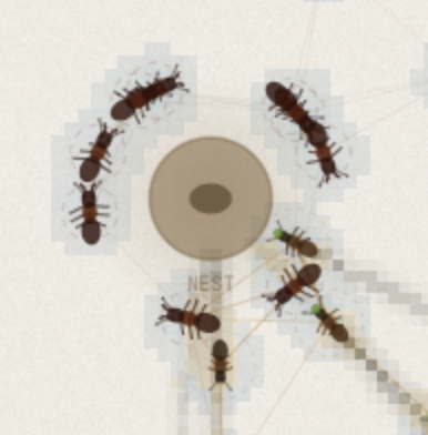 Active InferAnts colony simulation screenshot